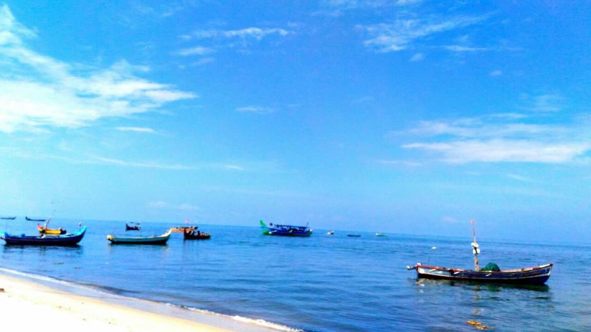 Photo of Others in Mararikkulam North