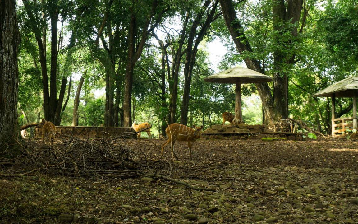 Photo of Others in East Jakarta
