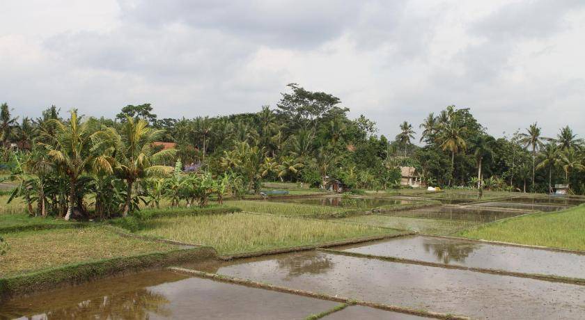 Photo of Others in Penestanan