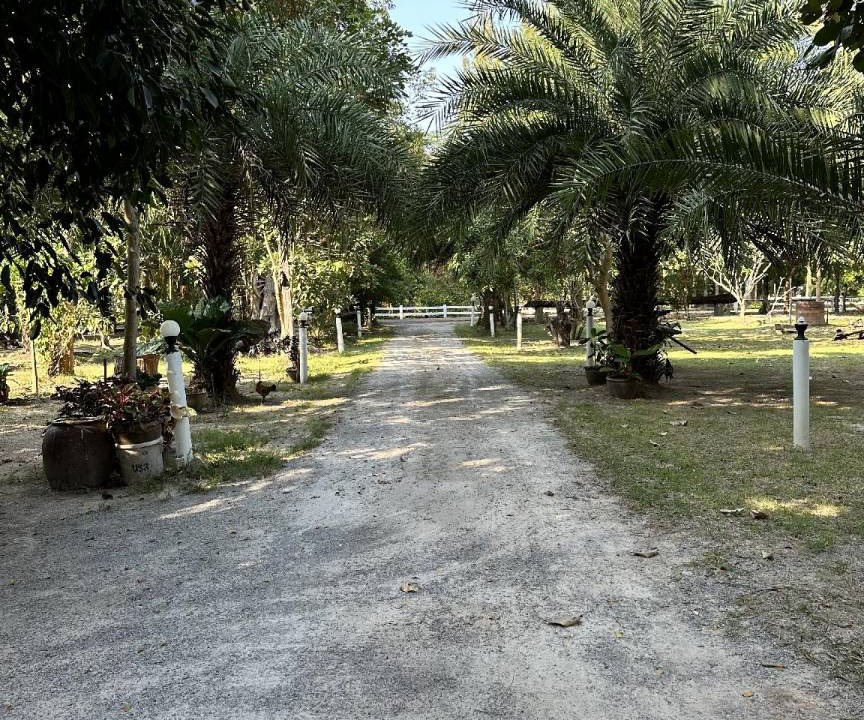 Photo of Outdoor in Suan Phueng