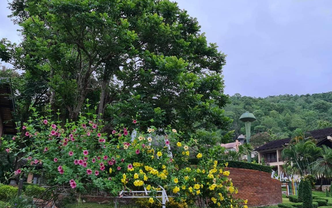 Photo of Others in Hang Dong