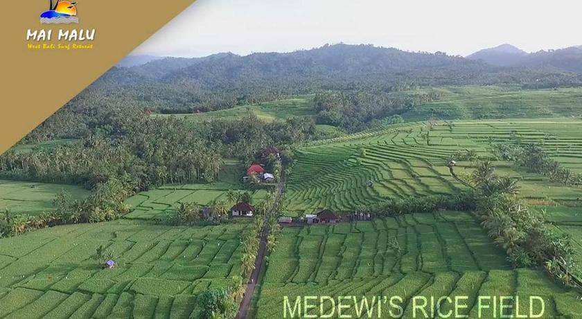 Photo of Others in Medewi