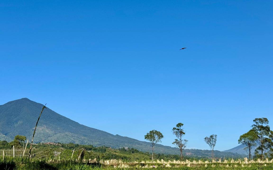 Photo of Others in Garut