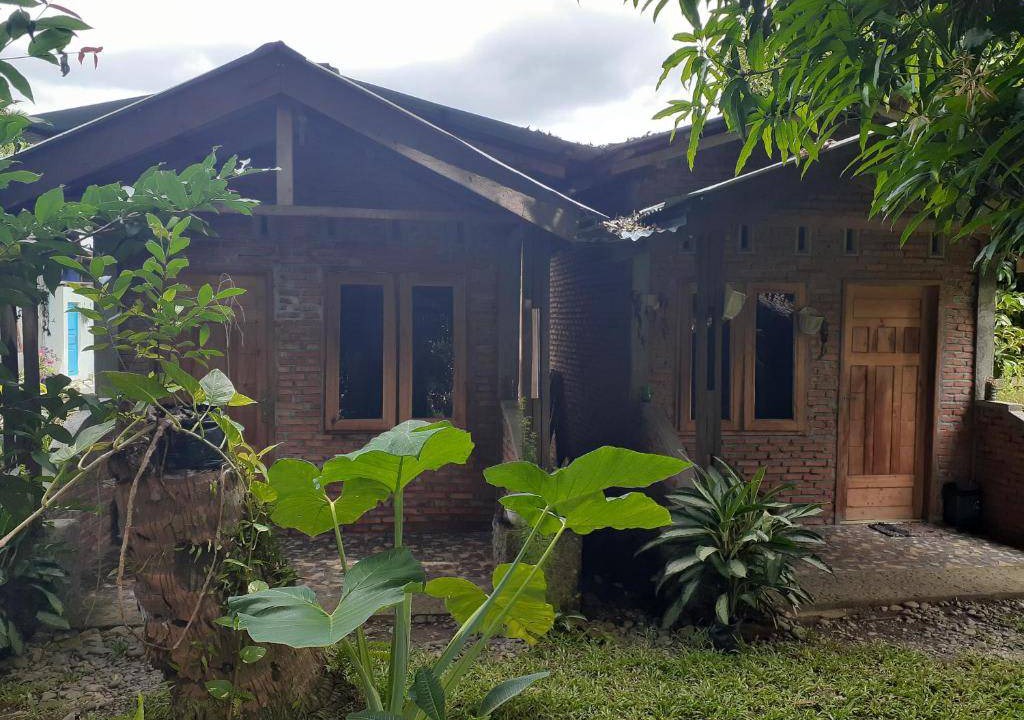 Photo of Others in Bukit Lawang