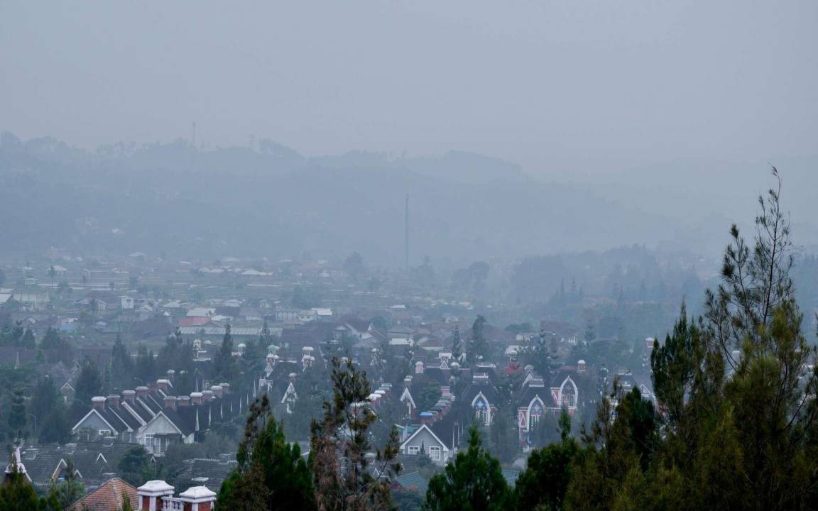 Photo of Others in Cibodas