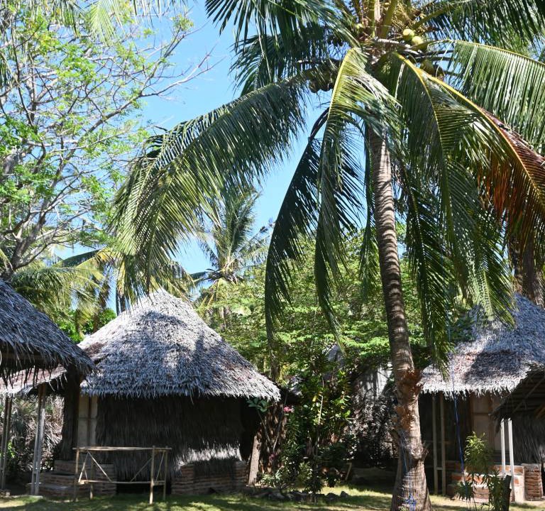 Photo of Others in Karimunjawa Islands