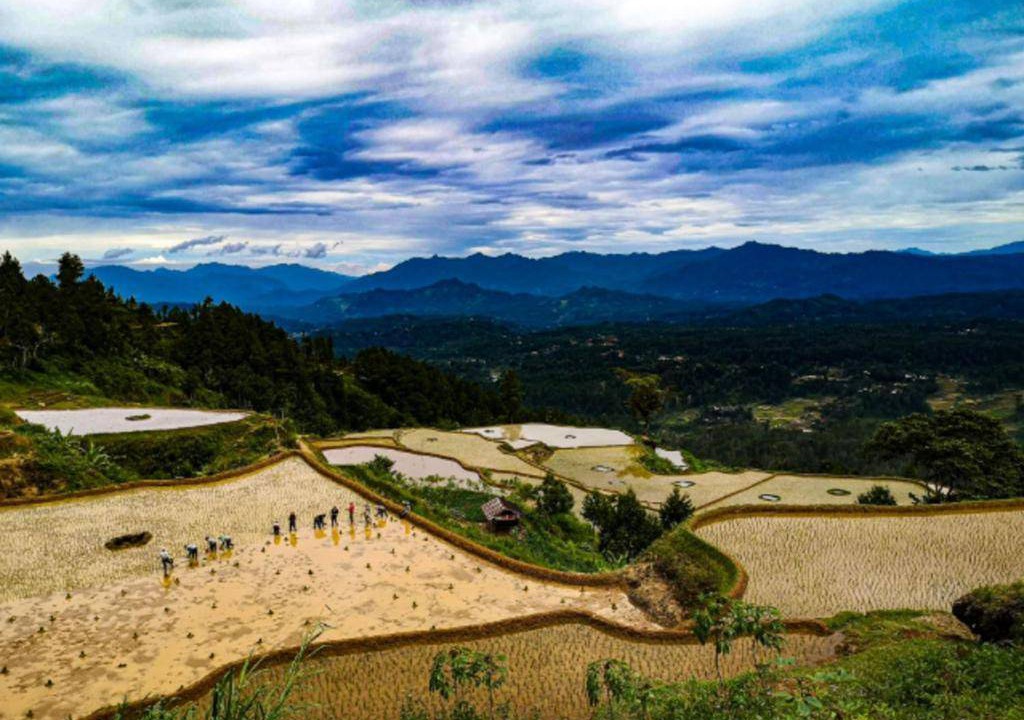 Photo of Others in Rantepao