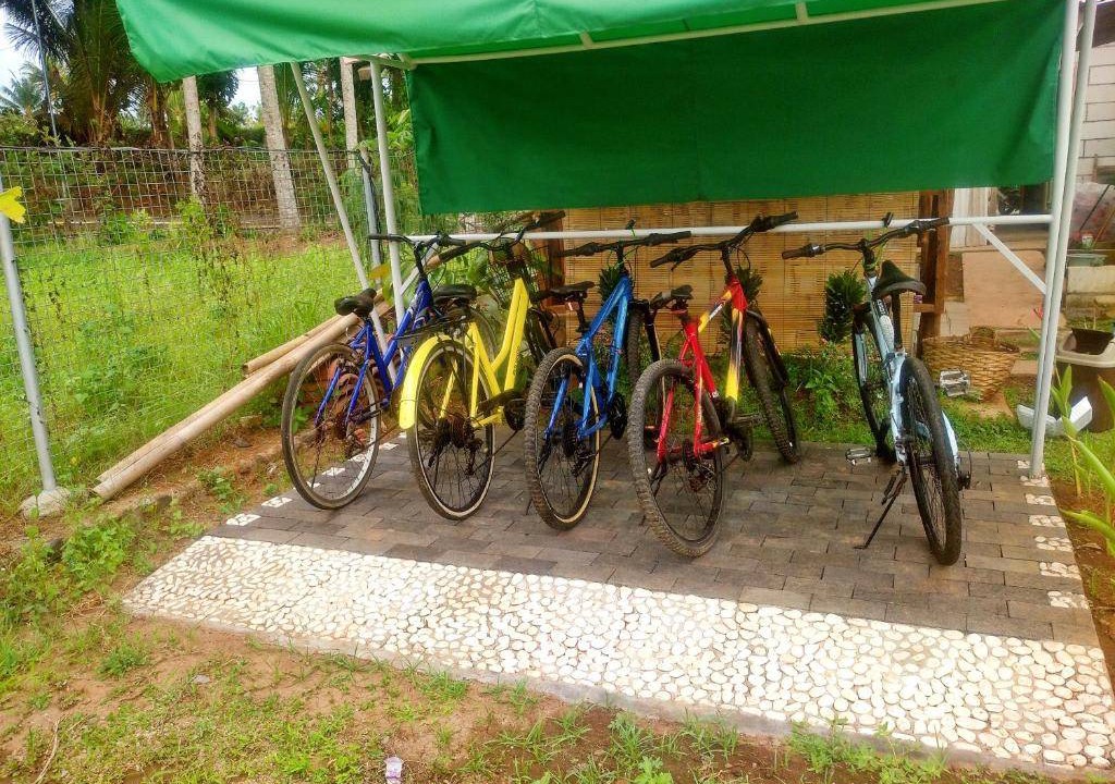 Photo of Others in Banyuwangi