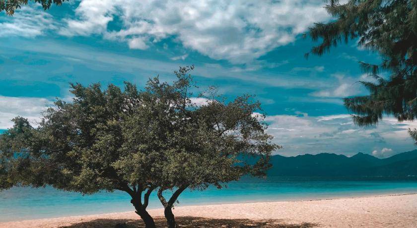Photo of Others in Gili Meno