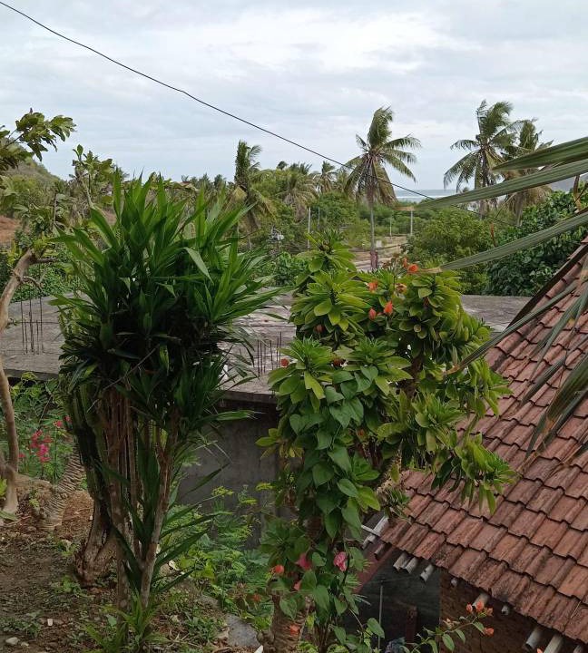 Photo of Others in Kuta