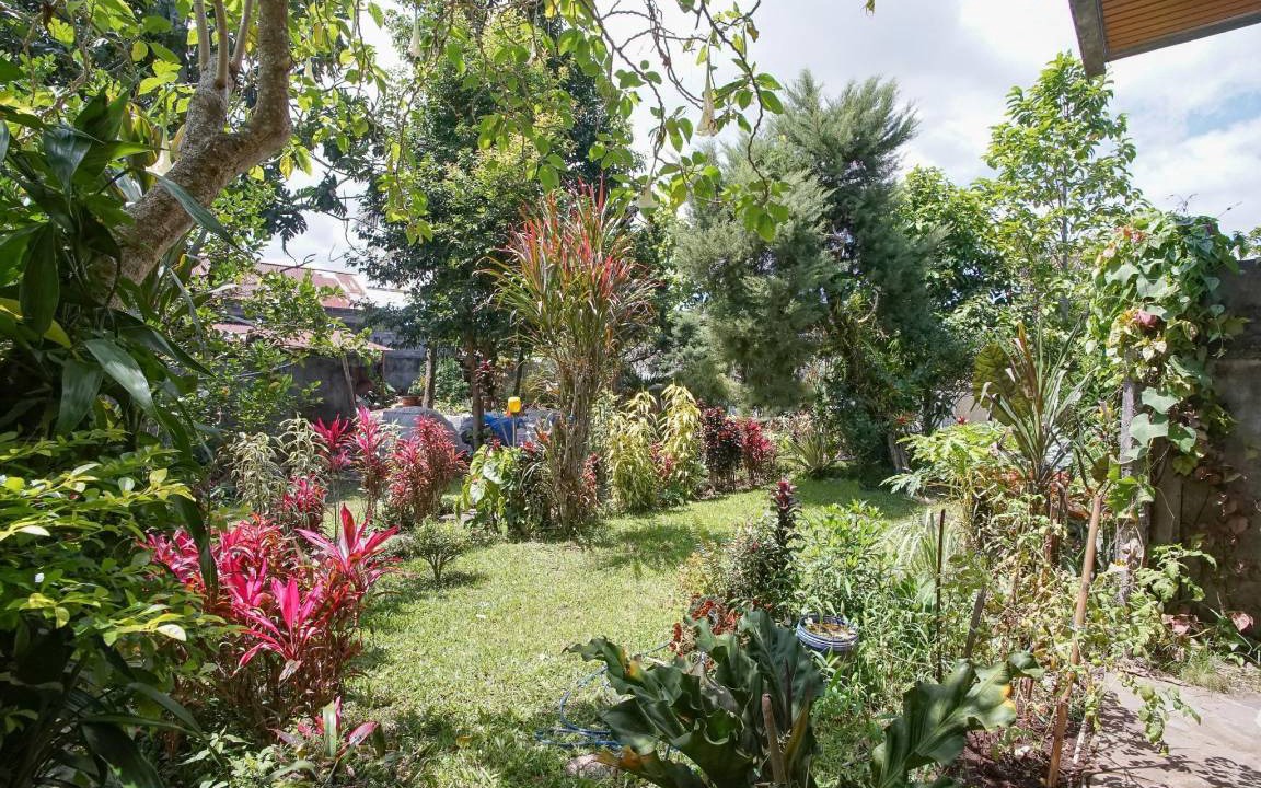Photo of Others in Tomohon