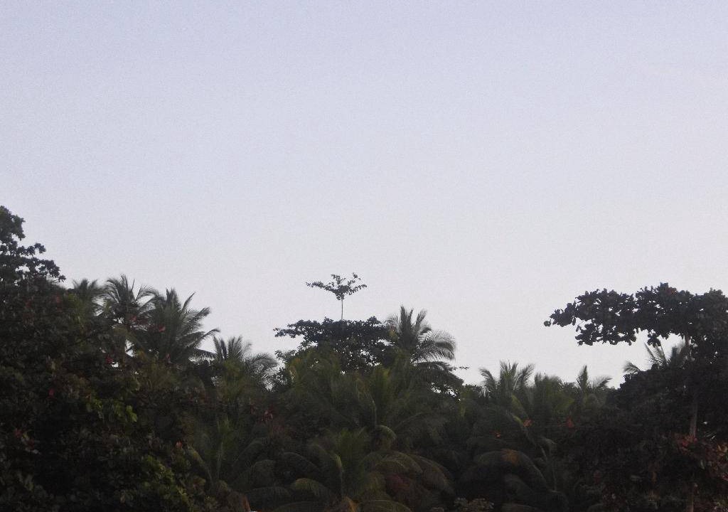 Photo of Others in Wanokaka