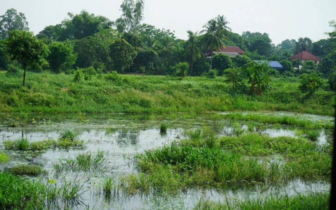 Photo of Others in Phrom Buri