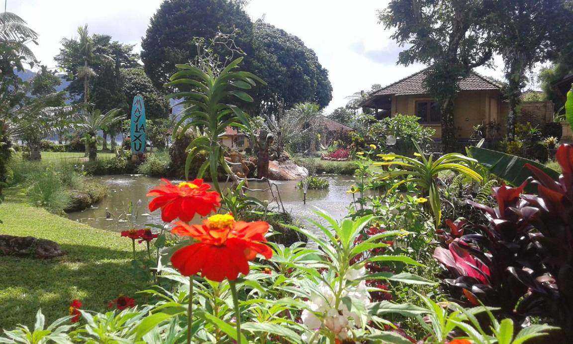 Photo of Others in Candikuning