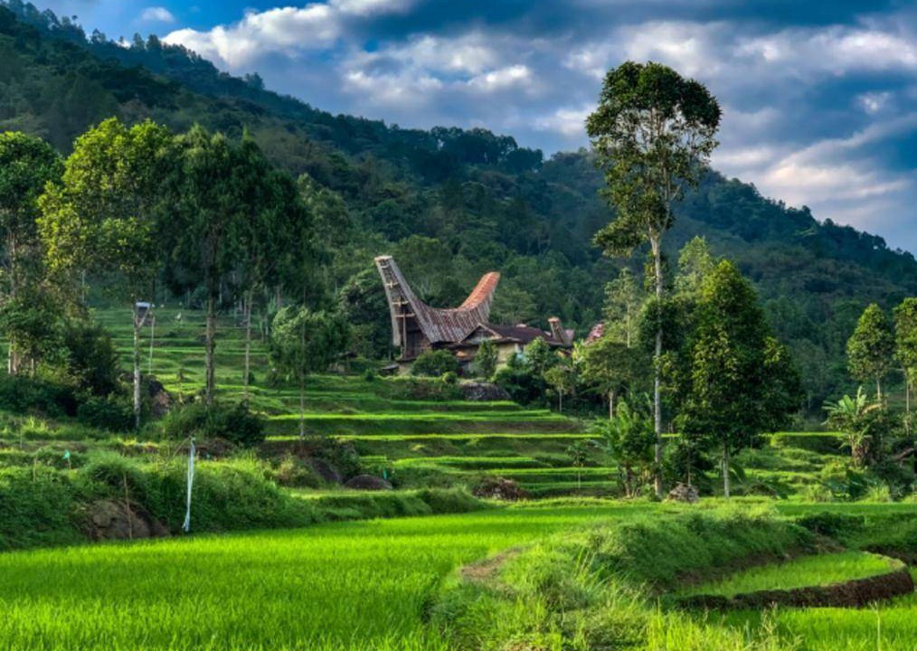 Photo of Others in Rantepao