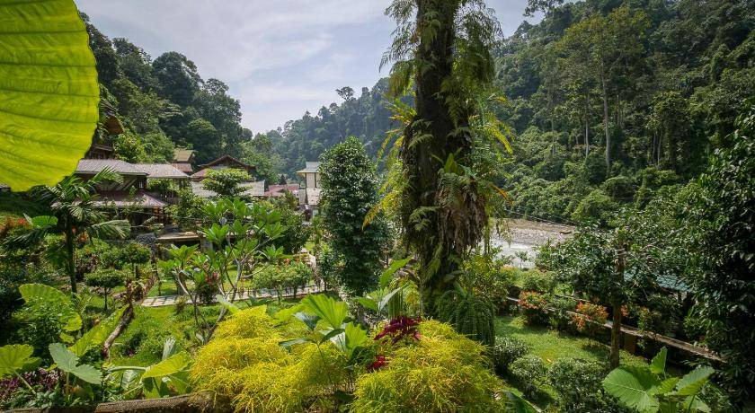 Photo of Others in Bukit Lawang