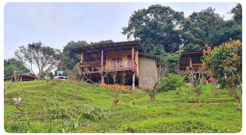 Photo of Buildings in Ban Luang