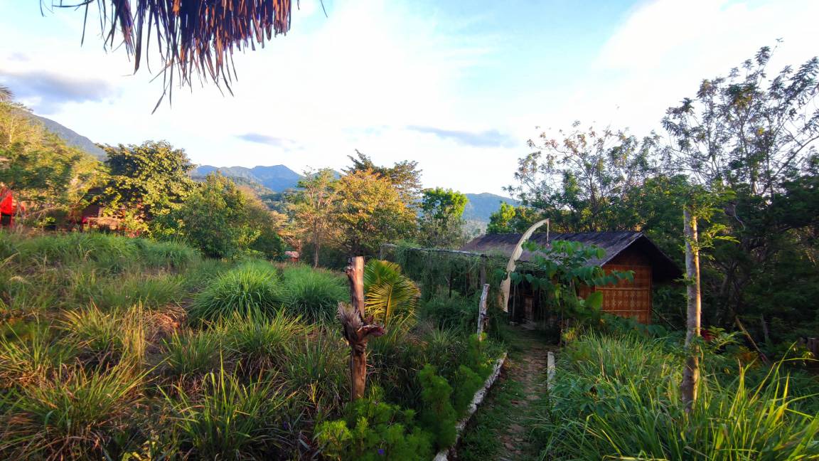 Photo of Others in Labuan Bajo