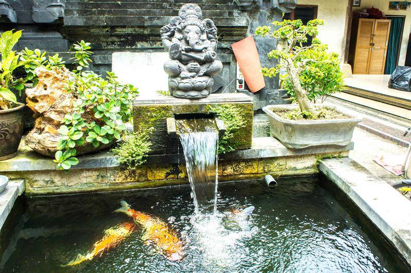 Photo of Others in Ubud City-Centre