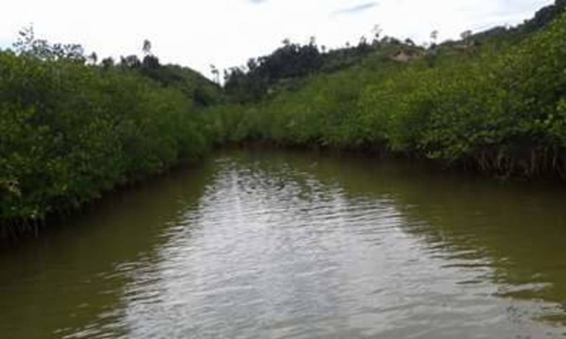 Photo of Others in Nagari Sungai Pinang