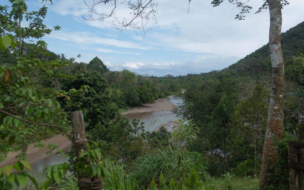 Photo of Others in Bohorok