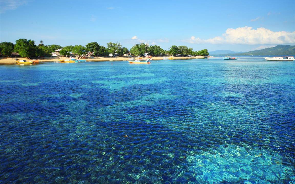 Photo of Others in Bunaken