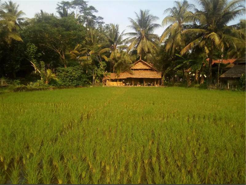 Photo of Others in Katukaras