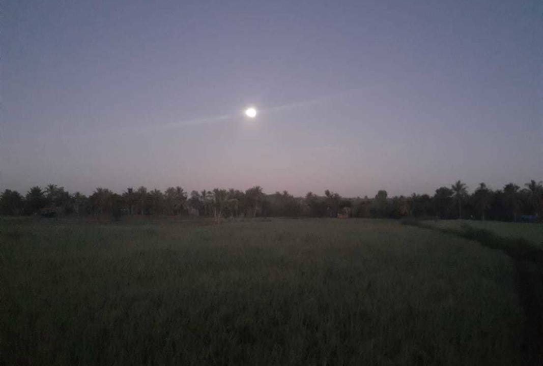 Photo of Others in Kecamatan Sikur