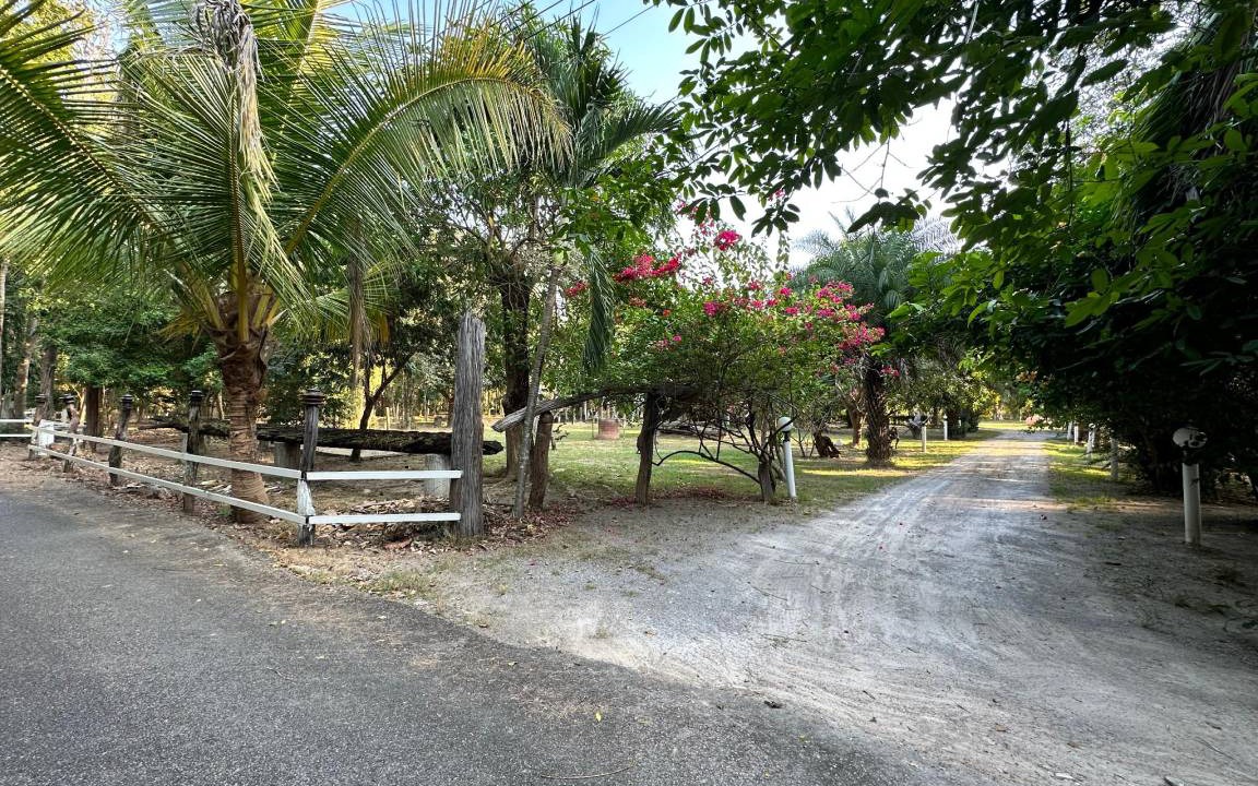 Photo of Outdoor in Suan Phueng