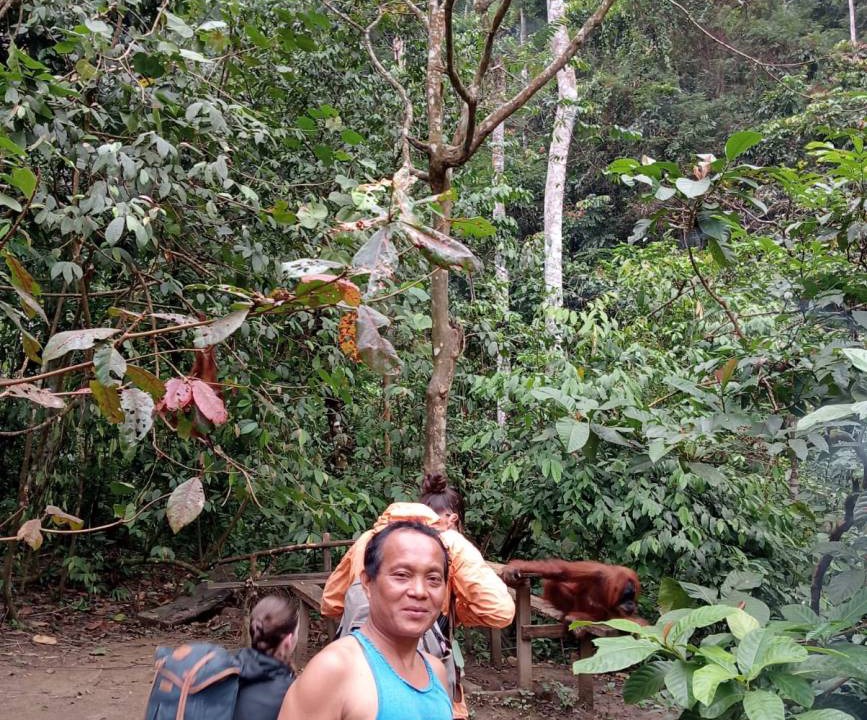 Photo of Others in Bukit Lawang