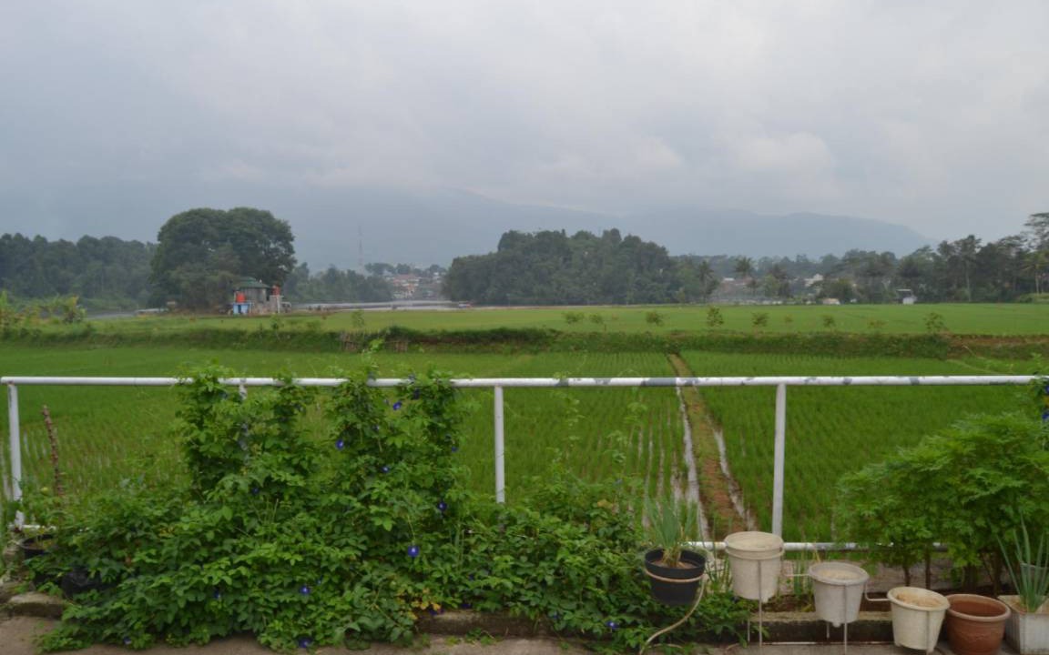 Photo of Others in Pandjalu