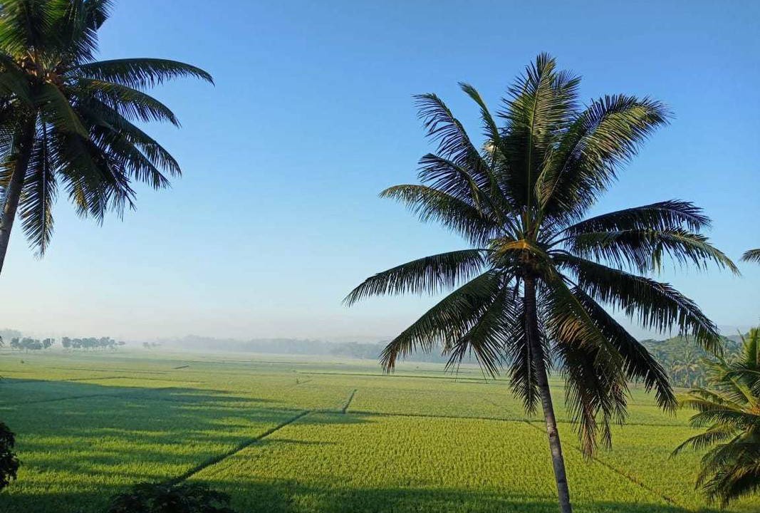 Photo of Others in Cilacap