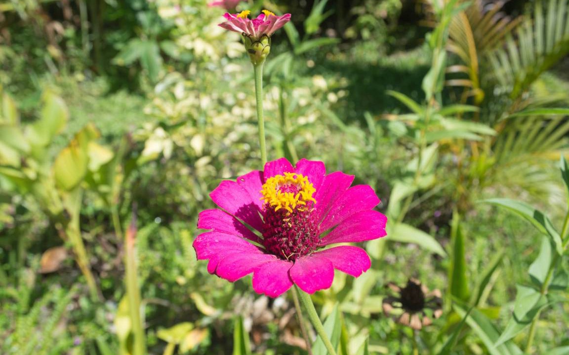 Photo of Outdoor in Bohorok