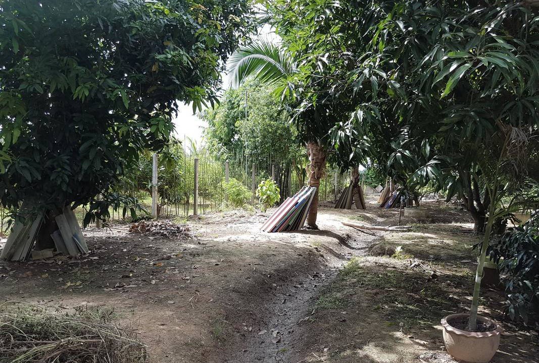 Photo of Others in Sanphaya