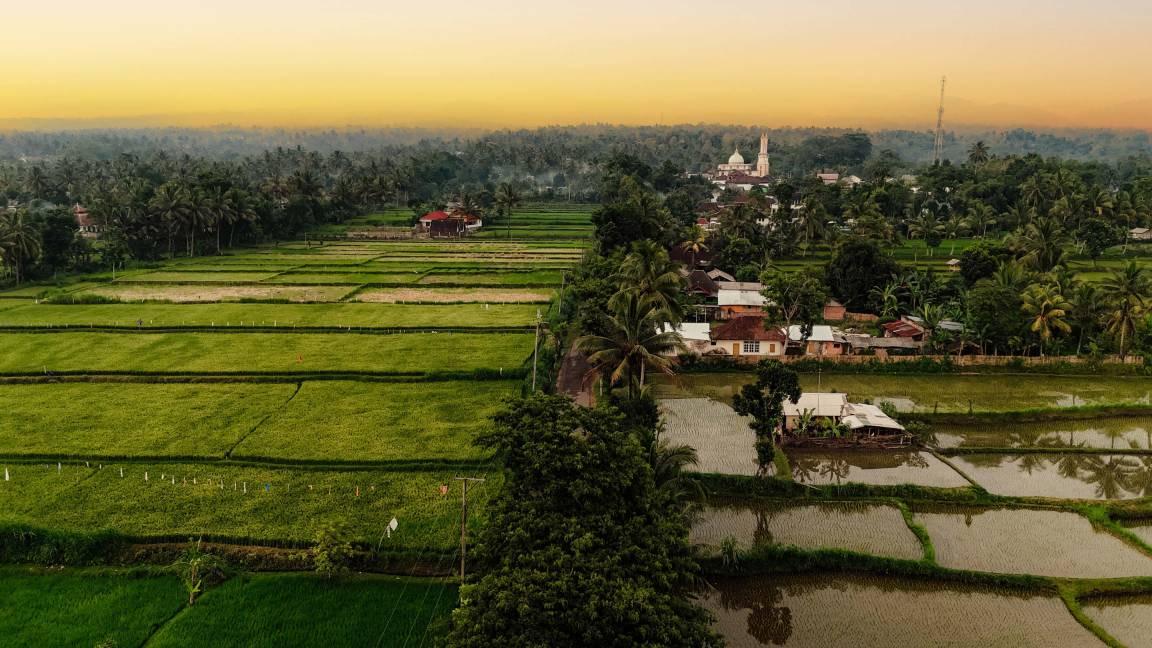 Photo of Others in Tetebatu
