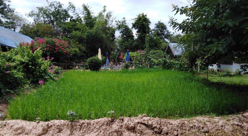 Photo of Others in Sukhothai