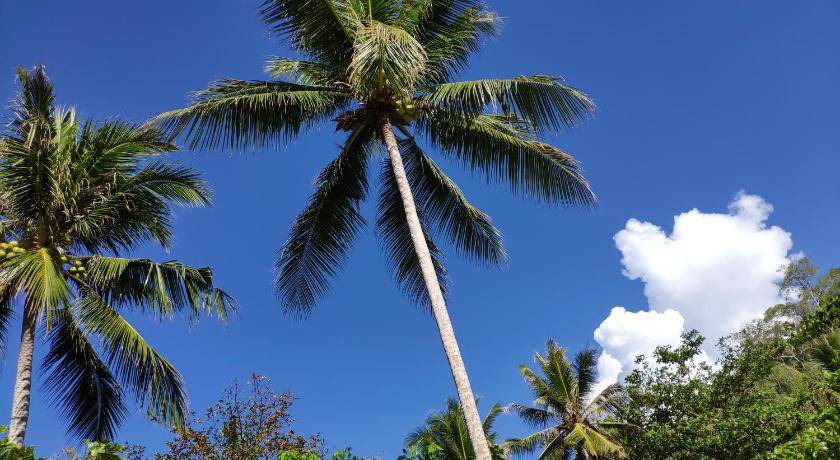 Photo of Others in Pulau Kadidi