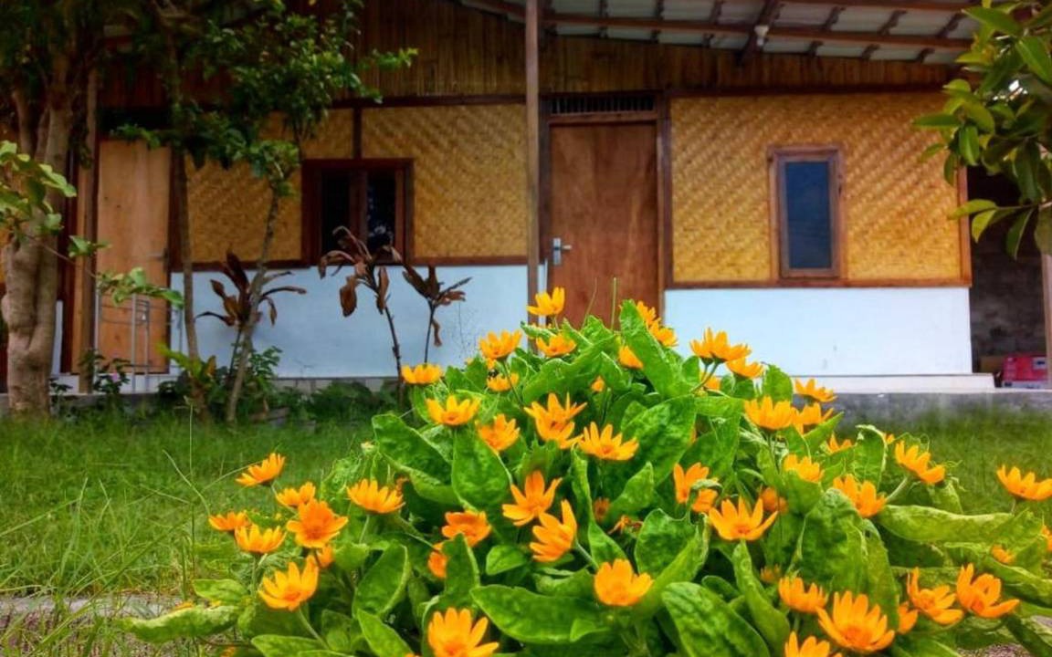 Photo of Others in Kecamatan Pringgasela