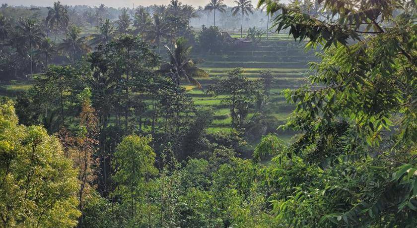 Photo of Others in Tetebatu