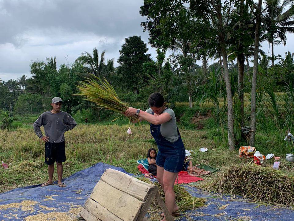 Photo of Others in Tetebatu