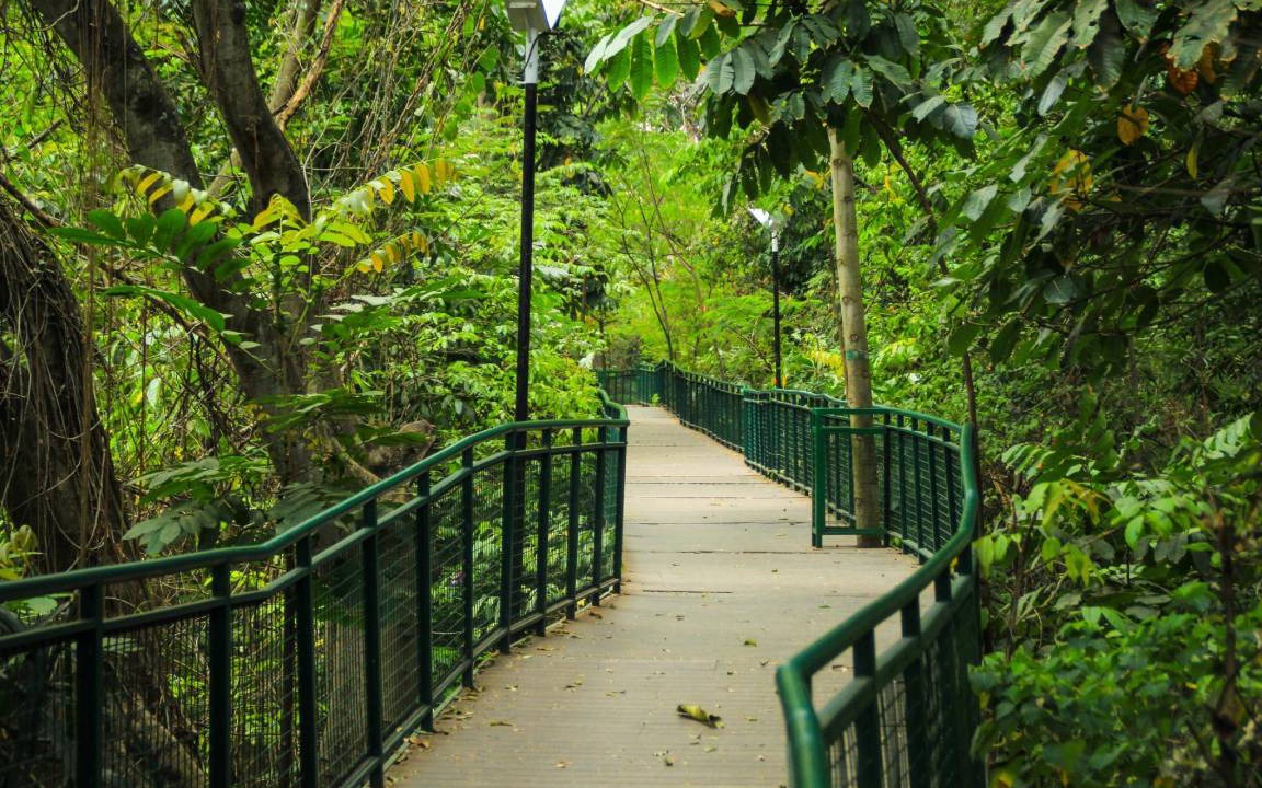 Photo of Others in Pasirkaliki