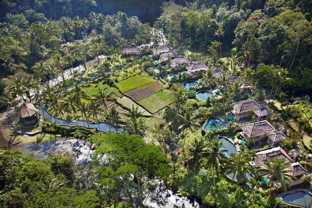 Photo of Others in Ubud