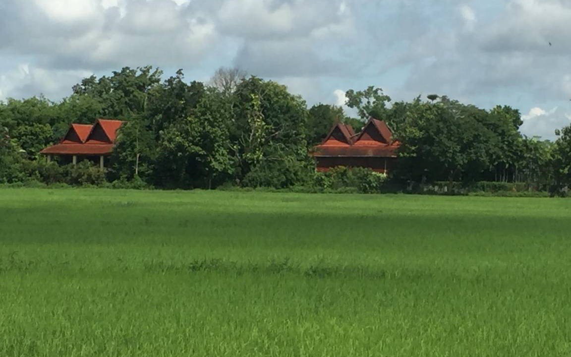 Photo of Others in Chiang Kham