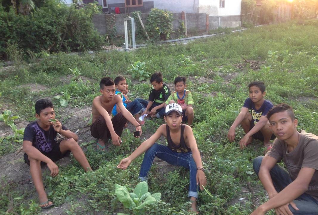 Photo of Others in Jerowaru