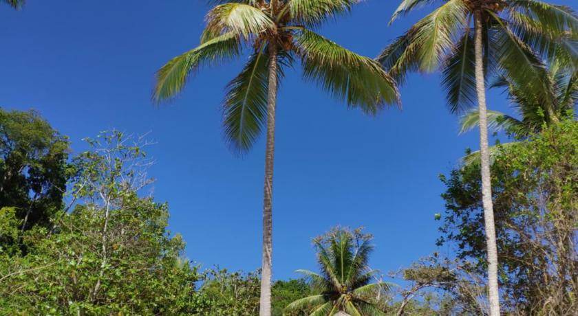 Photo of Others in Pulau Kadidi