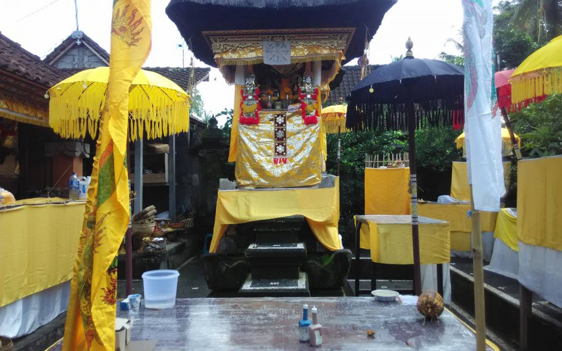 Photo of Others in Ubud City-Centre