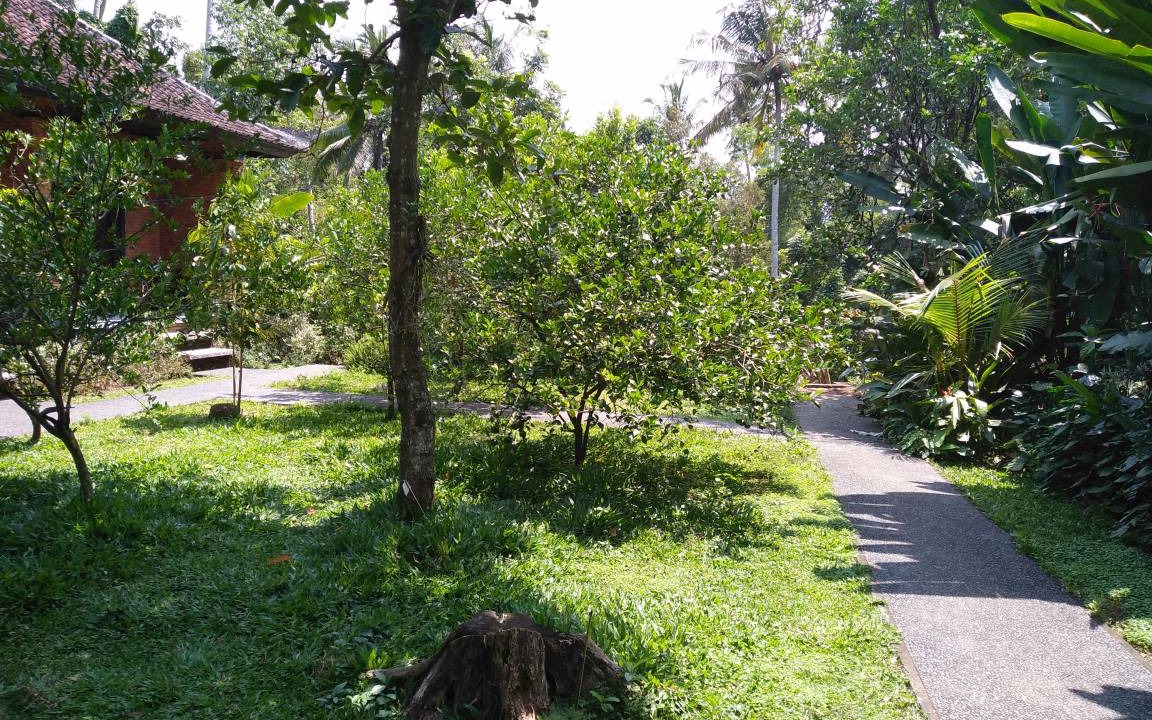 Photo of Outdoor in Ubud City-Centre