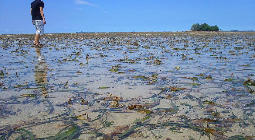 Photo of Human In Picture in Bintan