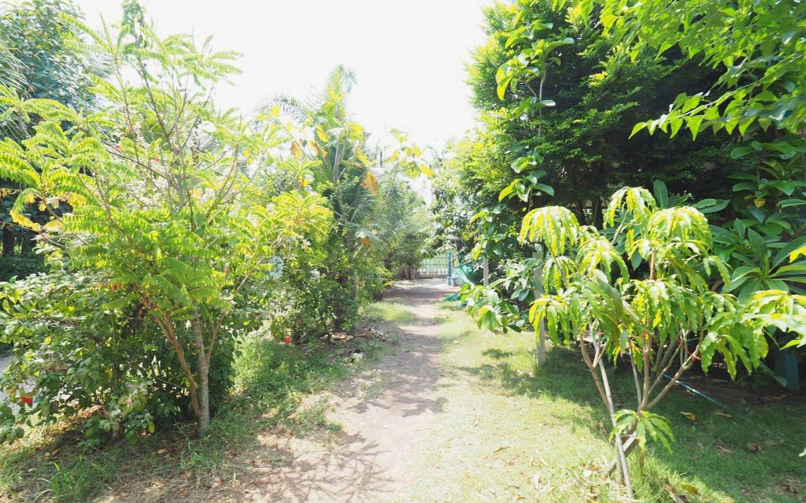 Photo of Others in Samut Songkhram