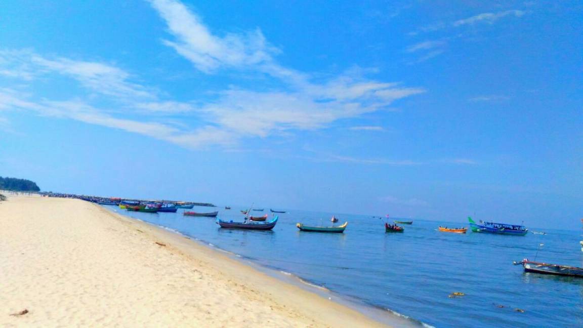 Photo of Others in Mararikkulam North